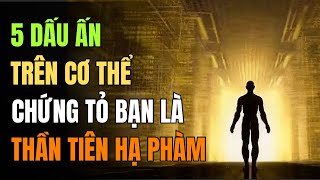 Người Có 5 Dấu Ấn Này Trên Cơ Thể, Thực Ra Đến Từ Thiên Giới, Là Thần Tiên Đầu Thai Hạ Phàm!