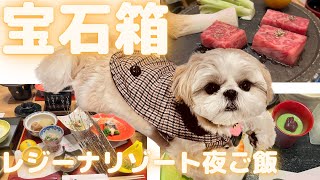 わんこ会の高級リゾートレジーナリゾート箱根で爆食するシーズー子犬-shihtzu puppy enjoys amazing dinner at resina resort Hakone-