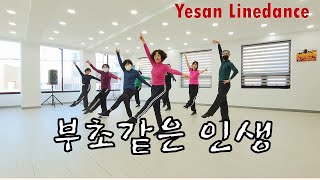 [초급] 부초같은 인생 Line dance // Kim Duck Hwa (KOR) \u0026 Han Yeun Hee (KOR) - December 2024