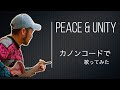 「PEACE&UNITYをカノンコードで歌ってみた」ミッチマンのライフスタイル♯17