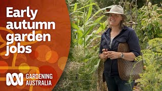 Gardening jobs to do in early autumn | Garden Inspiration | Gardening Australia