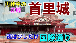 再建中の沖縄『首里城』の見学をして来ました。屋根の瓦がほぼ完成していました。#沖縄旅行 #沖縄 #沖縄県 #沖縄観光 #首里城 #旅 #旅行 #旅遊 #ひとり旅 #お城 #観光 #観光名所 #国際通り