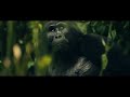 Discover Uganda, gorilla trekking, wildlife safaris