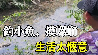 风景秀丽溪水清澈见底，老曹在山中溪流里钓小鱼，摸螺蛳，回去做成菜味道鲜美无比【户外老曹】