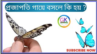 প্রজাপতি গায়ে বসলে কি হয় || GK quiz|| GK questions||GK in bangla #gk#viral #trending #IQ #reels