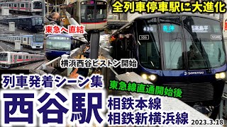 【東急と直通開始で大進化】西谷駅列車発着シーン集[相鉄新横浜線,相鉄本線,相鉄東急直通線,相鉄]（2023.3.18）