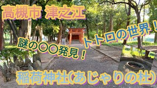 【高槻市パワースポット巡り】稲荷神社(あじゃりの杜)！高槻市津之江にあるトトロが住んでいそうな不思議な世界！