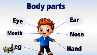 تعليم الاطفال اعضاء جسم الانسان باللغة الانجليزية - the Body Parts