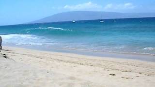 crazy maui waves!