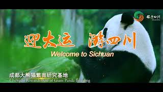 Welcome to the Universiade, Start Your Journey in Sichuan | Trailer