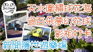 【即拍即剪】天水圍公園繡球花海盛放｜過百朵夢幻波波花球｜唯美紫藍色｜免費影相打卡｜同場加映隱世室外兒童遊樂場｜竟然出現兒童版倉鼠滾輪 #4K #春節賞花 #花市 #賞花好去處 #銀座