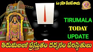 tirumala today update || ttd darshan updates today || meena tirumala updates