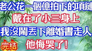 老公花一個億拍下的項鏈，戴在了小三身上，我沒鬧丟下離婚書走人，他悔哭了！#情感故事#小说#情感故事#家庭故事