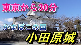 [4K]小田原城で至福の観光体験しています 雰囲気が好き！[かまぼこの国]