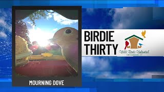 Birdie Thirty: Saturday, 10/19/24 at 9:30AM