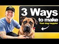 3 Ways To Make Your Dog Happier!