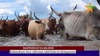 Changamoto za Kilimo Tanzania