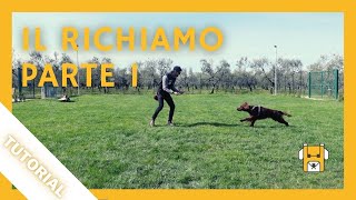 IL RICHIAMO - Come insegnarlo al cane! - Lezione 5