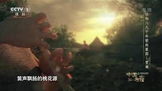 [中国考古大会]贾湖遗址|CCTV