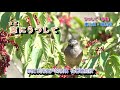 北の宿から 字義版