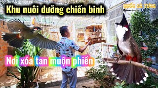 Khu nuôi dưỡng chiến binh của Quốc Cà Tưng gốc nhỏ đam mê