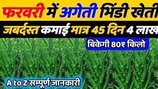 फरवरी मार्च में भिंडी की खेती | Bhindi ki kheti kab aur kaise karen🌱Okra farming 2025🌱Ageti bhindi