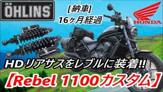 レブル1100またまたカスタム　【リアサス・ラジエターガード】(^^)/