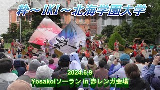 粋～IKI～北海学園大学　Yosakoiソーラン in 赤レンガ会場　2024.6.9