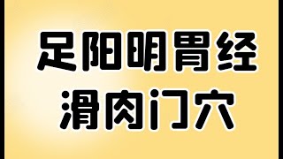 足阳明胃经——滑肉门穴