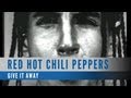 Red Hot Chili Peppers - Give It Away (Music Video)