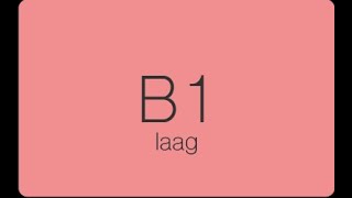 B1 Laag compleet. | B1 Laag تعلم اللغة الهولندية المستوى