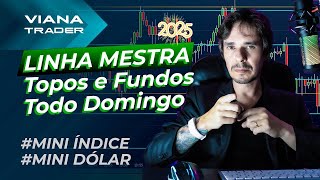 🔴DAY TRADE - LINHA MESTRA - TOPOS E FUNDOS DA SEMANA MINI ÍNDICE E DÓLAR FEVEREIRO/2025