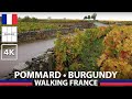 Pommard Vineyards, Bourgogne - FRANCE 🇫🇷 Walking 1 [vignoble balade promenade] 4K