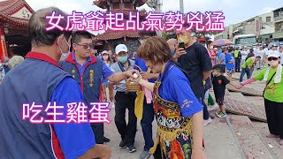 女虎爺起乩降駕氣勢兇猛吃生雞蛋，磕頭進殿咬燃香參禮-新營太子宮進香團（龍聖太子宮）