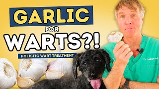 Get Rid of Pet Warts with Garlic: Garlic for Wart Removal at Home