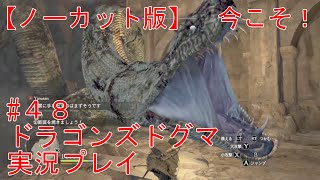 #48 『逡巡の間だってよ』  steam版 ドラゴンズドグマダークアリズン 実況プレイ