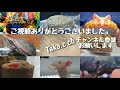 【アホロートル】no.150。4匹目のウーパールーパー。 axolotl