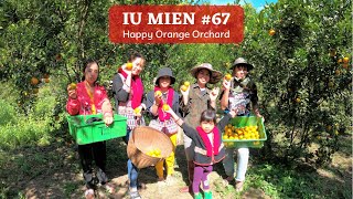 Iu Mien Thailand EP67| End-of-season to harvest our Iu Mien's oranges