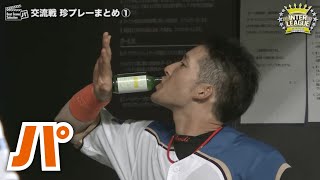 【62】え？これが正しい飲み方ですが？〔交流戦珍2015〕