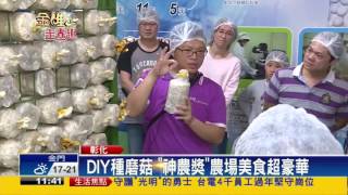 2017春節－春節出遊趣 蘑菇農場推美食.DIY攬客－民視新聞