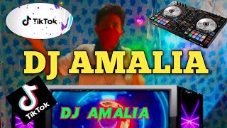 DJ AMALIA | Tiktok Budots Remix | Viral Tiktok | Bomb mix | Mr. Ronz vlog Remix 2022