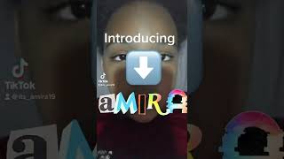 Introducing Amira