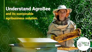 Understand AgroBee and its sustainable agribusiness solution.