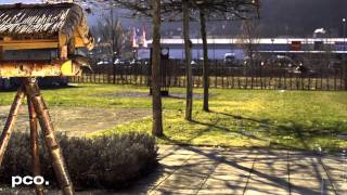 Sparrows approaching a birdhouse in slow motion (1500 fps)