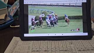 (競馬)第26回京都ハイジャンプ(ジャンプGⅡ)ジャンプダイジェスト