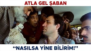 Atla Gel Şaban Türk Filmi | Niyazi Altılıyı Tutturup Kuponları Yatırmıyor!