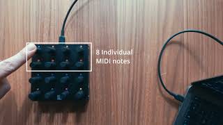 Seque - MIDI Sequencer for Intech Studio Grid EN16 [DEMO]