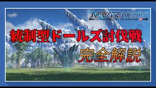 【PSO2NGS】統制型ドールズ討伐戦 Fo/Fi ロッド/ランチャー 解説 【biimシステム】