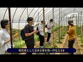 2022野菜ソムリエアワードエントリー動画