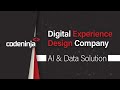 CodeNinja Technologies – Digital Experience Specialists